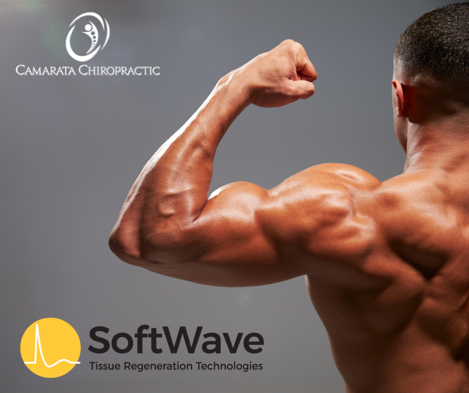 The Cutting-Edge Solution for Bicep Tendinitis: SoftWave Therapy at Camarata Chiropractic & Wellness